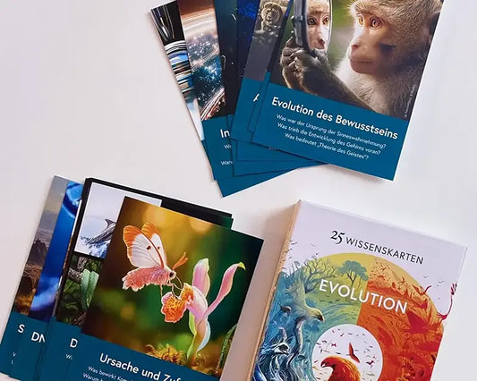 Das Kartenset Evolution ansprechend auf einem Tisch platziert – ideal als Lernwerkzeug für Familien oder als Geschenk für Naturbegeisterte.