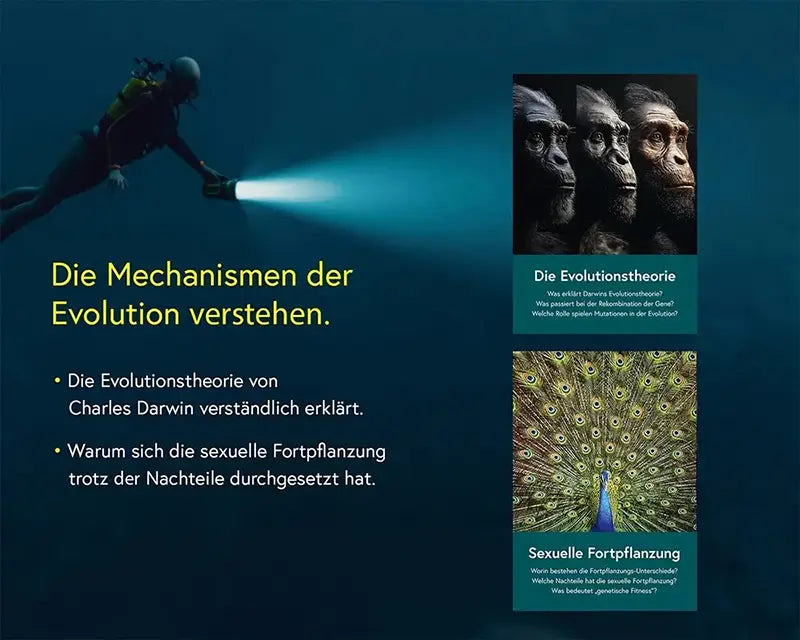 Infografik mit Wissenskarten zum Thema Evolutionstheorie