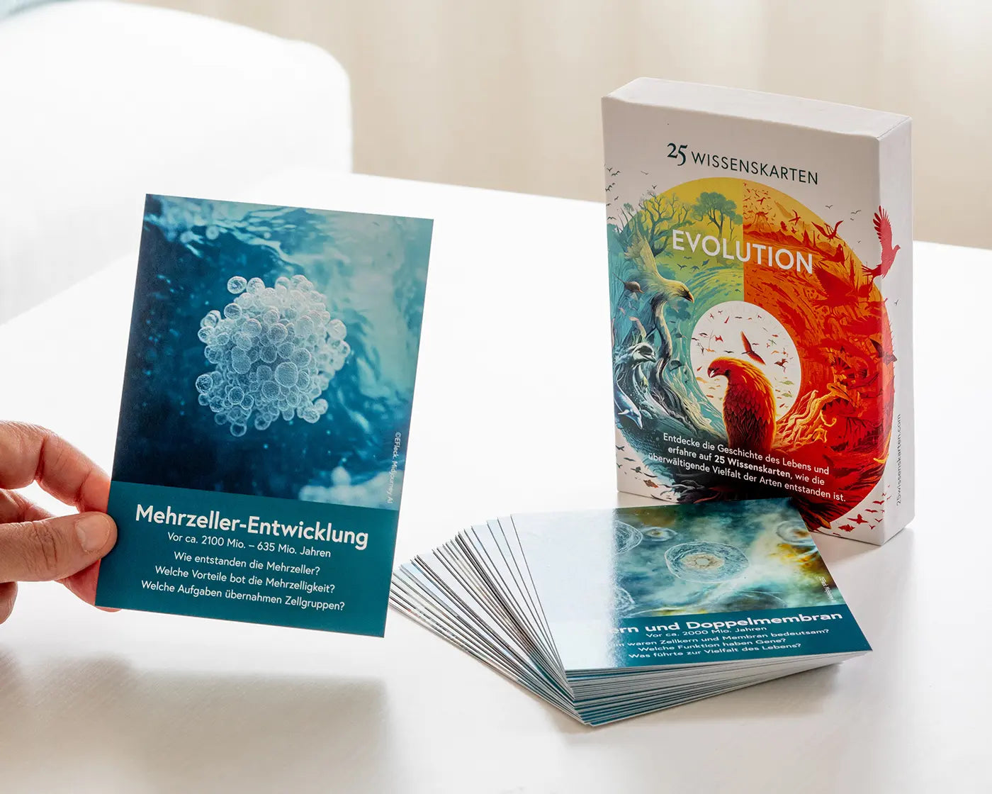 Evolution – Biologie & Geschichte des Lebens